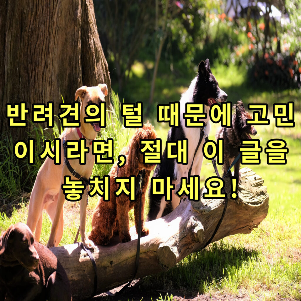 반려견 털 썸네일